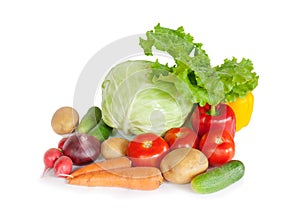 Composition with raw vegetables on white