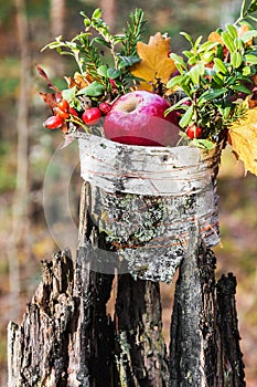 Composition of ripe apples, berries and tree branches