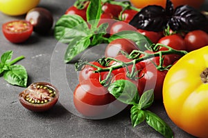 Composition of ripe fresh tomatoes of different varieties, mini bell peppers, spices, rammarine, thyme, basil, chilli pepper