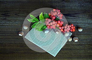 Composition with rowan berries and hazelnuts on a wooden background. Mocap for text