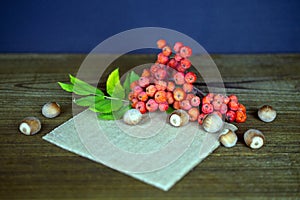 Composition with rowan berries and hazelnuts on wooden background. Mocap for your text