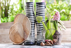 Composition with rubber boots, flower bulbs and watering can on wooden table in garden