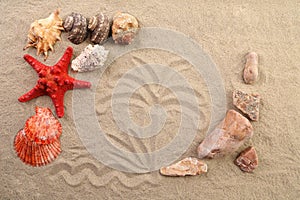 Composition of sand, shells, stones and starfish.