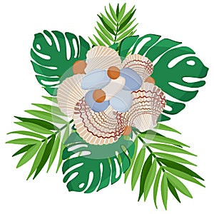 Composition of sea stones and shells and tropical leaves on a white background.