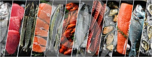 Composition of seafood on a black background. Collage of photos. Fresh fish, crustaceans, oysters, and mussels.