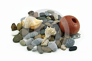 composition with seashells and cobbles, on white