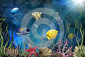 Composition of seashells, starfish, jellyfish. Underwater world. Sea background. Vector illustration.