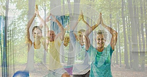 Composition of senior group practicing yoga with instructor and trees in sunlight