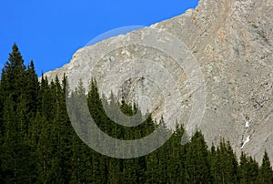 Composition of Sky, Forest, and Mountain