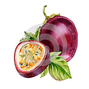 Composition of sliced passion fruits, mint and m leaves watercolor illustration isolated on white.