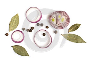 Composition of Sliced Red Onions and Various Spices