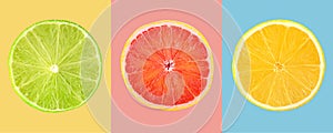 Composition of slices citrus fruits on colored background