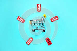 Composition with small shopping cart and tags on color background