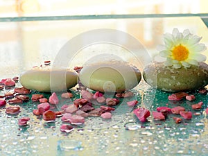 composition still life with flowers, massage stones, Spa concept, the substrate, the space