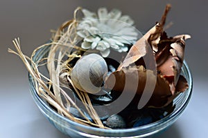 Composition still life on a gray background dried petals