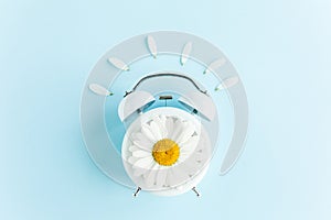 Composition-summer time from clock and chamomile flowers on blue background. Flat lay, top view