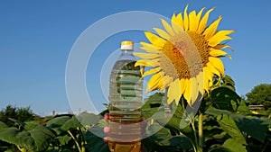 Composition with sunflower oil on a background of blue sky. Plastic bottles with sunflower oil