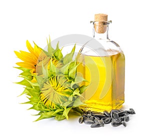 Composition with sunflower oil on white background