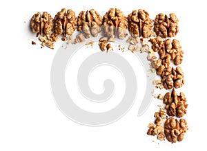 Composition with tasty walnuts on white background
