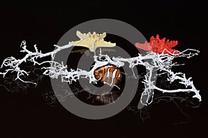 Composition on the theme of the underwater world