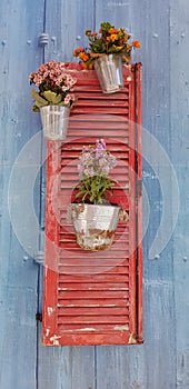Flower composition with red shutters