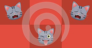 Composition of three cats over red checkered background