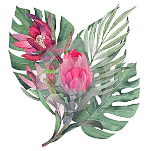 Composition with tropical plants and flowers. Botanical watercolor green exotic leaves. Coconut palm, monstera, protea