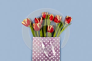 Composition with tulips  in paper bag on blue background