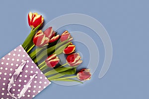 Composition with tulips  in paper bag on blue background