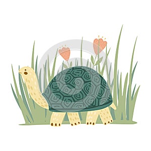 Composition turtle with grass and flowers isolated on white background. Cute cartoon character tortoise