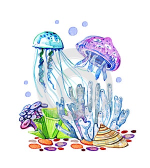 Composition with two blue jellyfishes in coral reef. Hand drawn watercolor illustration