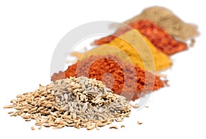 Composition of various spices on white background