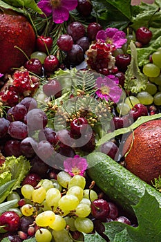 Composition from vegetables and fruit