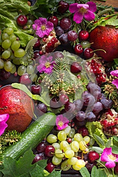 Composition from vegetables and fruit