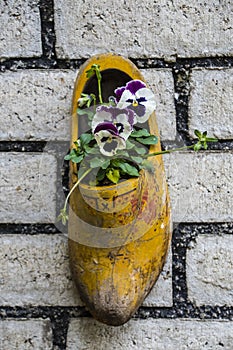 Composition on the wall from traditional dutch wooden shoes - klompen clogs, decorated with pansy flowers, closeup, the