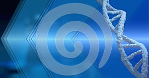 Composition of white 3d dna strand with copy space on blue background