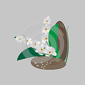 Composition of white orchids and decorative stones. Spa stones and flowers for beauty salon, yoga center. Vector illustration