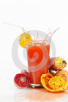 Composition of whole india