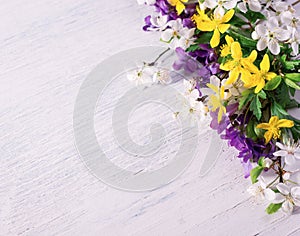 Composition with wild forest violets on a white wooden surface with space for text. Spring festive background