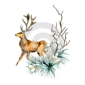 Composition of winter plants and deer watercolor illustration isolated on white.