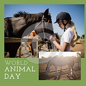 Composition of world animal day text over caucasian girl petting horse on green background