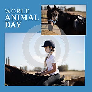 Composition of world animal day text over caucasian girl riding horse on blue background