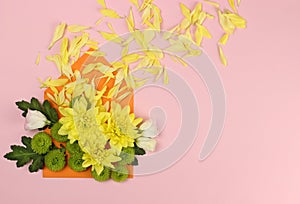 Composition of yellow, green Santini chrysanthemums and roses in an envelope on a pink background