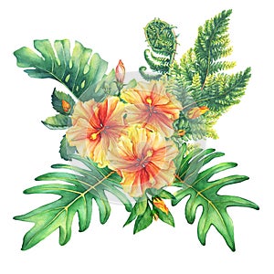 Composition with yellow-red hibiscus flowers and tropical plants.