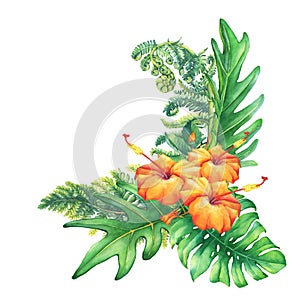 Composition with yellow-red tropical flowers and plants.