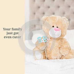 Composition of your family just got even cuter text over teddy bear