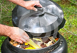 Compost Bin