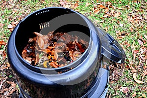 Compost bin