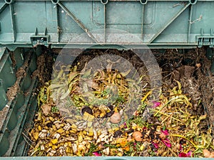 Compost bin