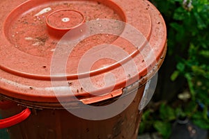 A compost bin has attracted the fruit flies